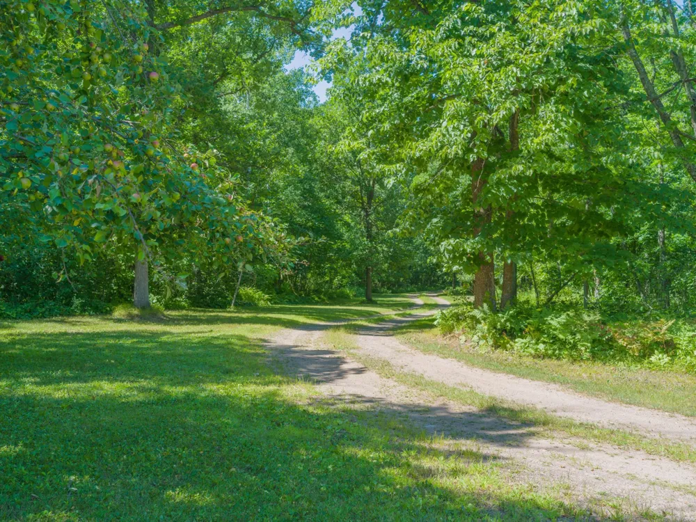 24256 State Highway 18 Deerwood, MN 56444