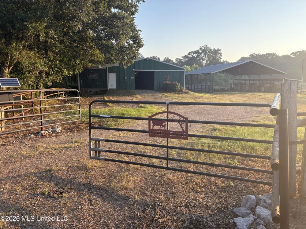 253 W Petros Road Pearl, MS 39208