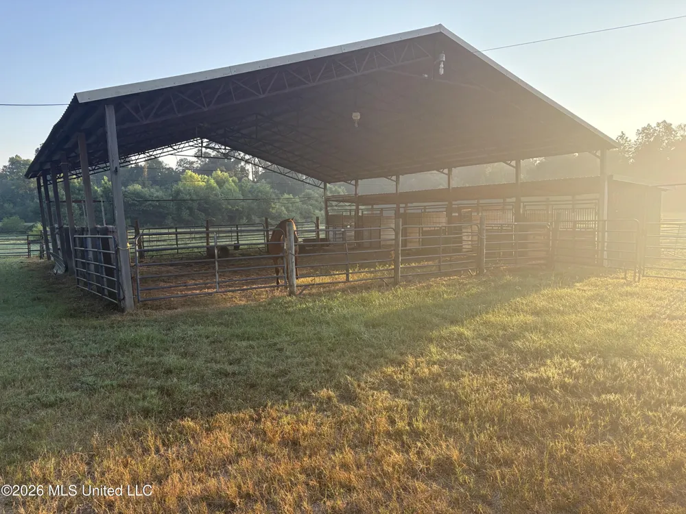253 W Petros Road Pearl, MS 39208