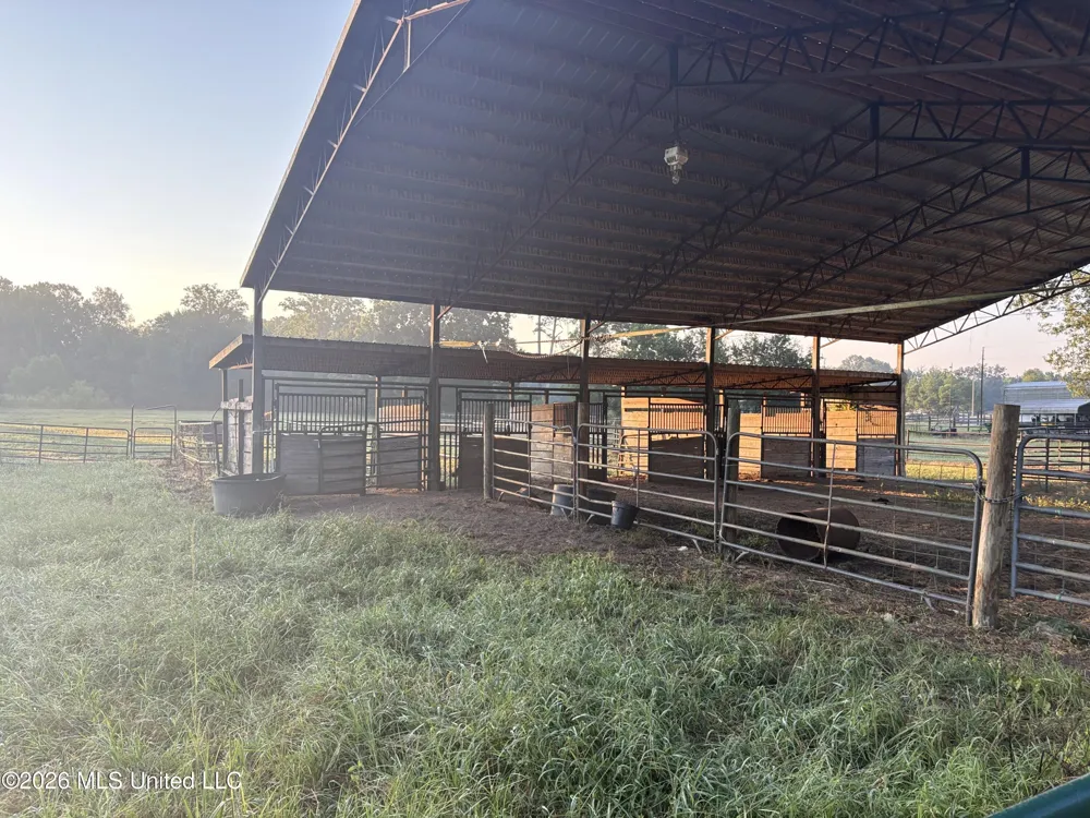 253 W Petros Road Pearl, MS 39208