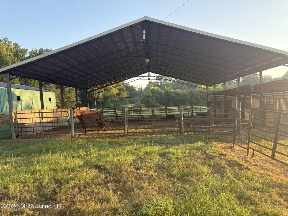 253 W Petros Road Pearl, MS 39208