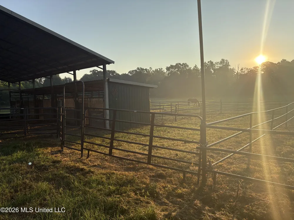 253 W Petros Road Pearl, MS 39208