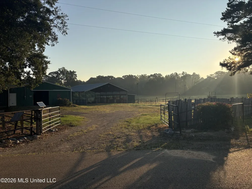 253 W Petros Road Pearl, MS 39208