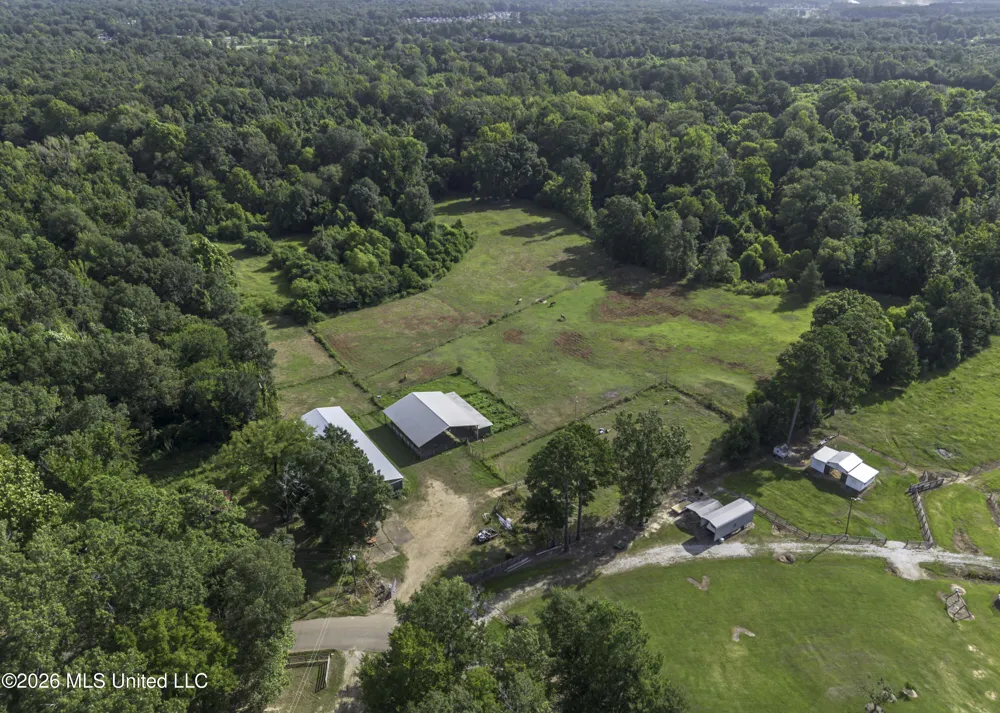 253 W Petros Road Pearl, MS 39208