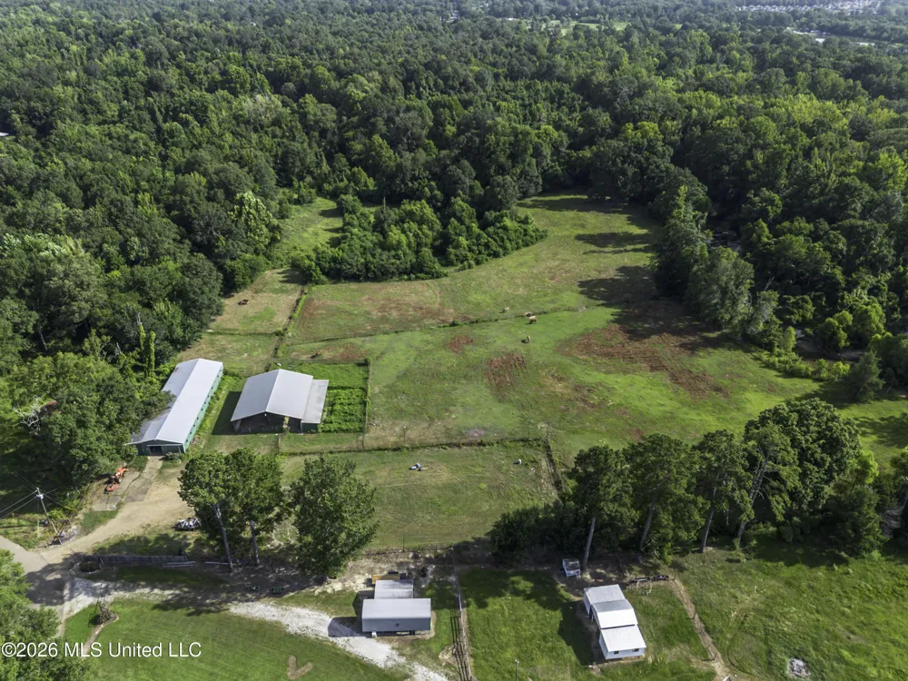 253 W Petros Road Pearl, MS 39208