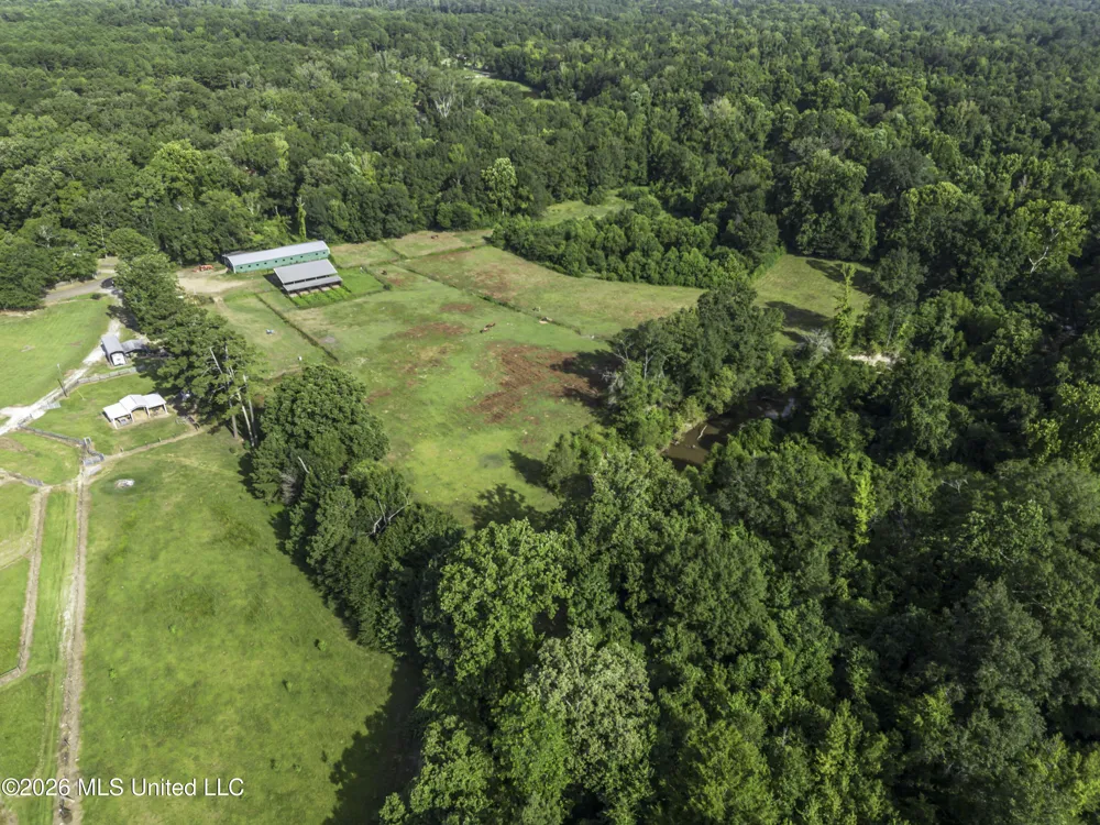 253 W Petros Road Pearl, MS 39208