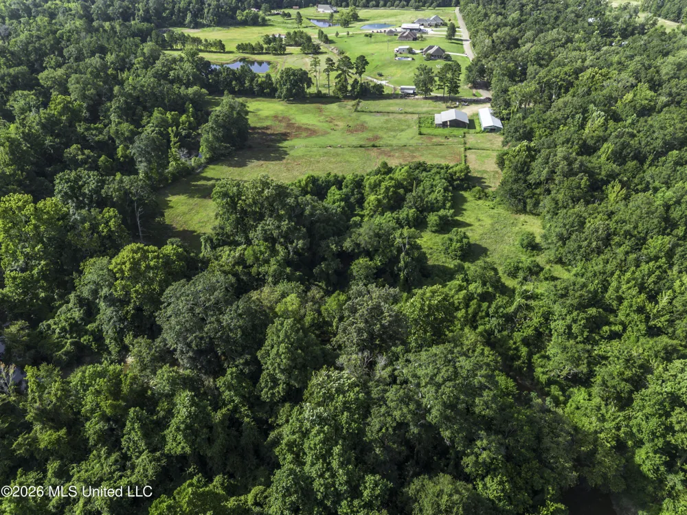 253 W Petros Road Pearl, MS 39208