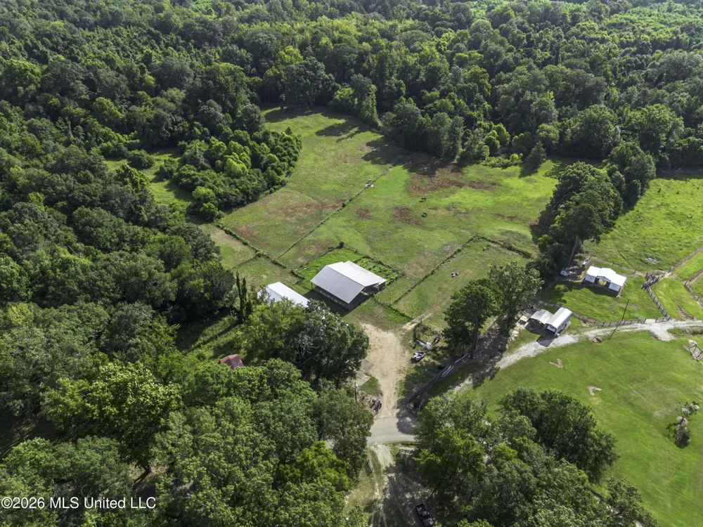 253 W Petros Road Pearl, MS 39208