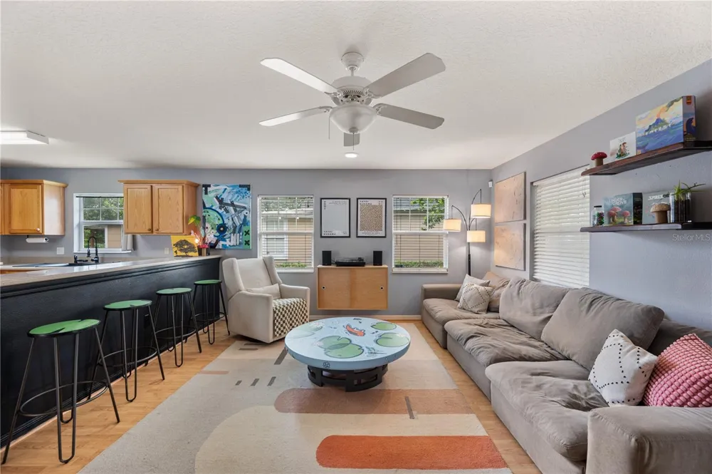 517 W PATTERSON STREET Lakeland, FL 33803