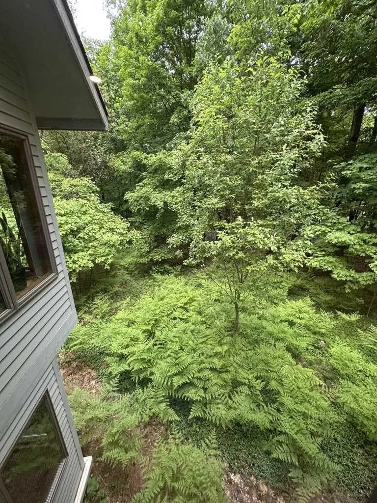 7211 Logan Lane Peninsula Township, MI 49686