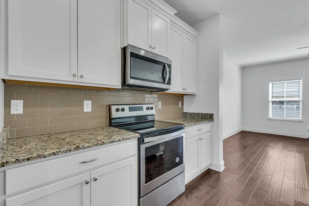253 Mary Ann Cir Spring Hill, TN 37174