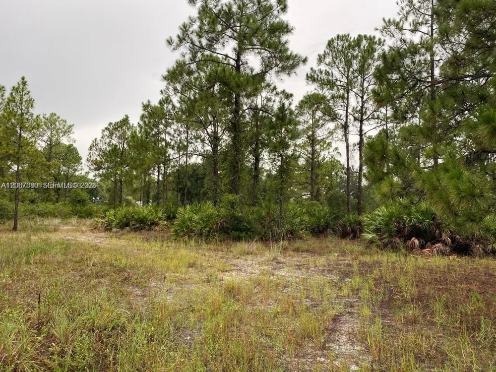 2321 Macarthur Ave Lehigh Acres, FL 33920