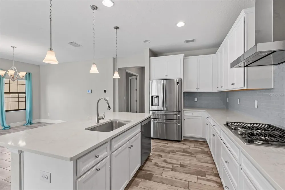 12646 SHETLAND WALK DRIVE Lithia, FL 33547