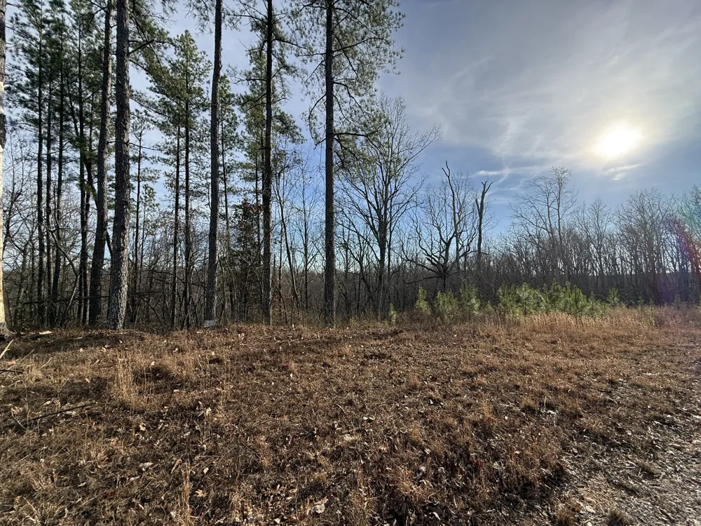 0 Richland Harbor Rd Waverly, TN 37185