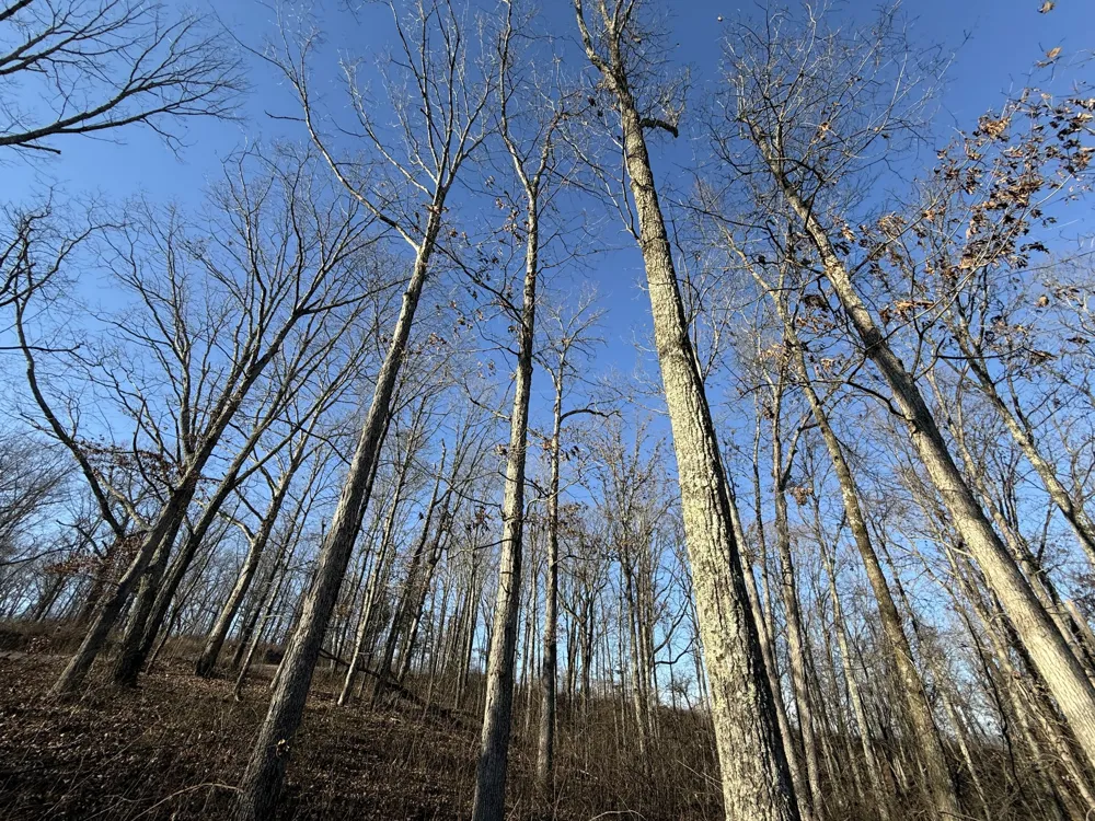 0 Richland Harbor Rd Waverly, TN 37185