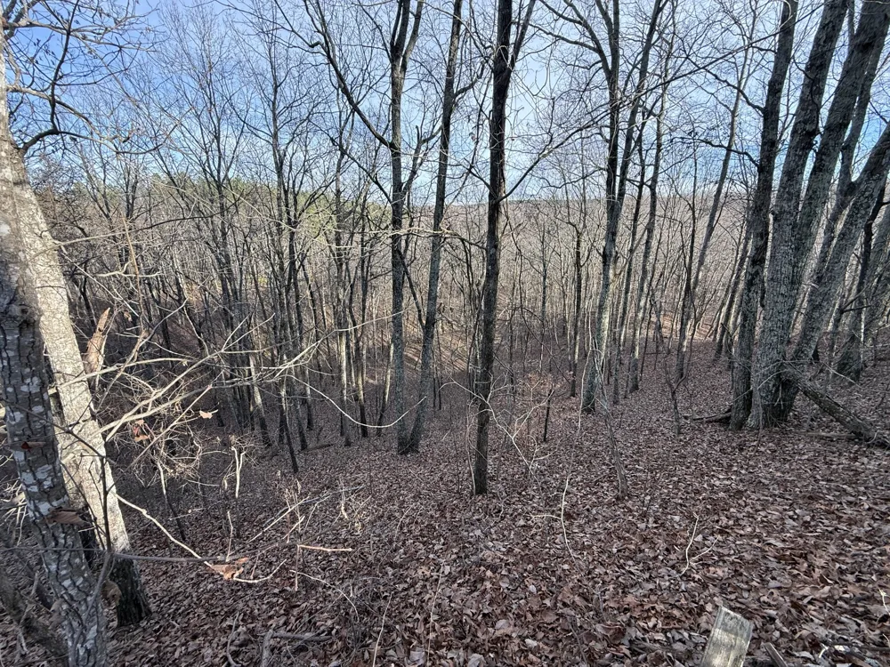 0 Richland Harbor Rd Waverly, TN 37185