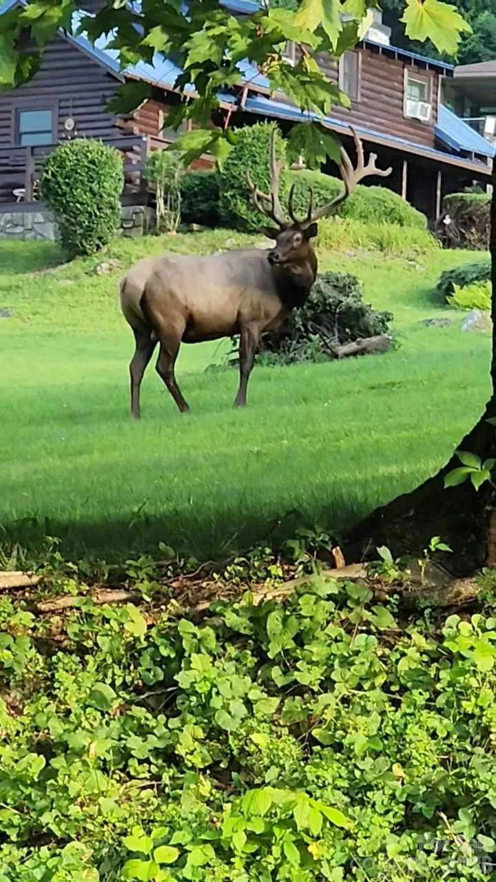 30 Hillcrest Road Maggie Valley, NC 28751