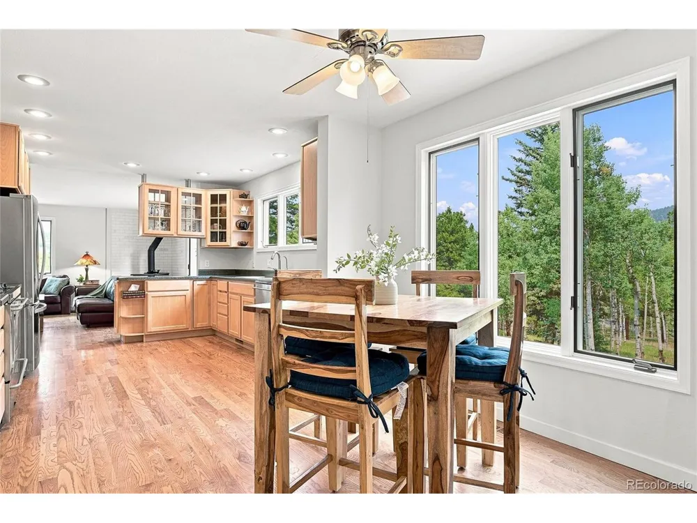 25457 Snyder Avenue Conifer, CO 80433