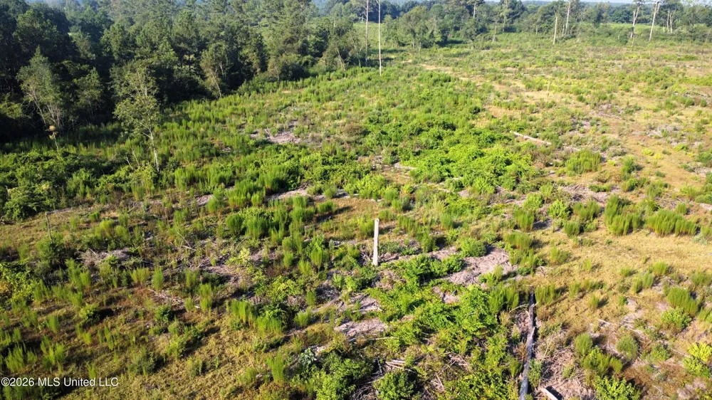 Ebenezer Road Columbia, MS 39429