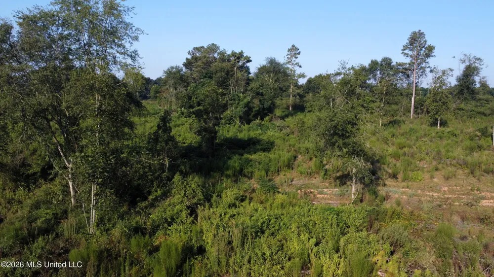 Ebenezer Road Columbia, MS 39429