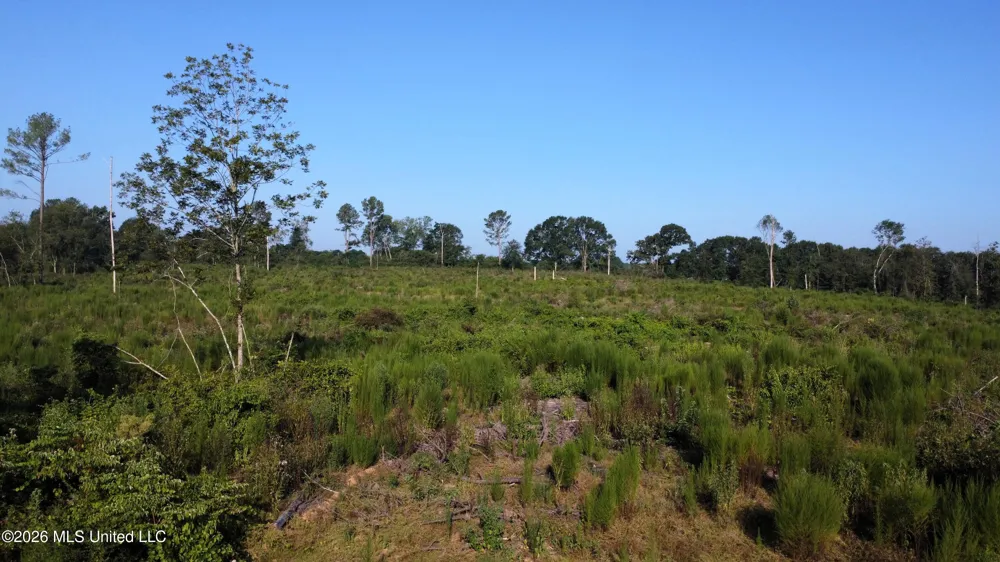Ebenezer Road Columbia, MS 39429