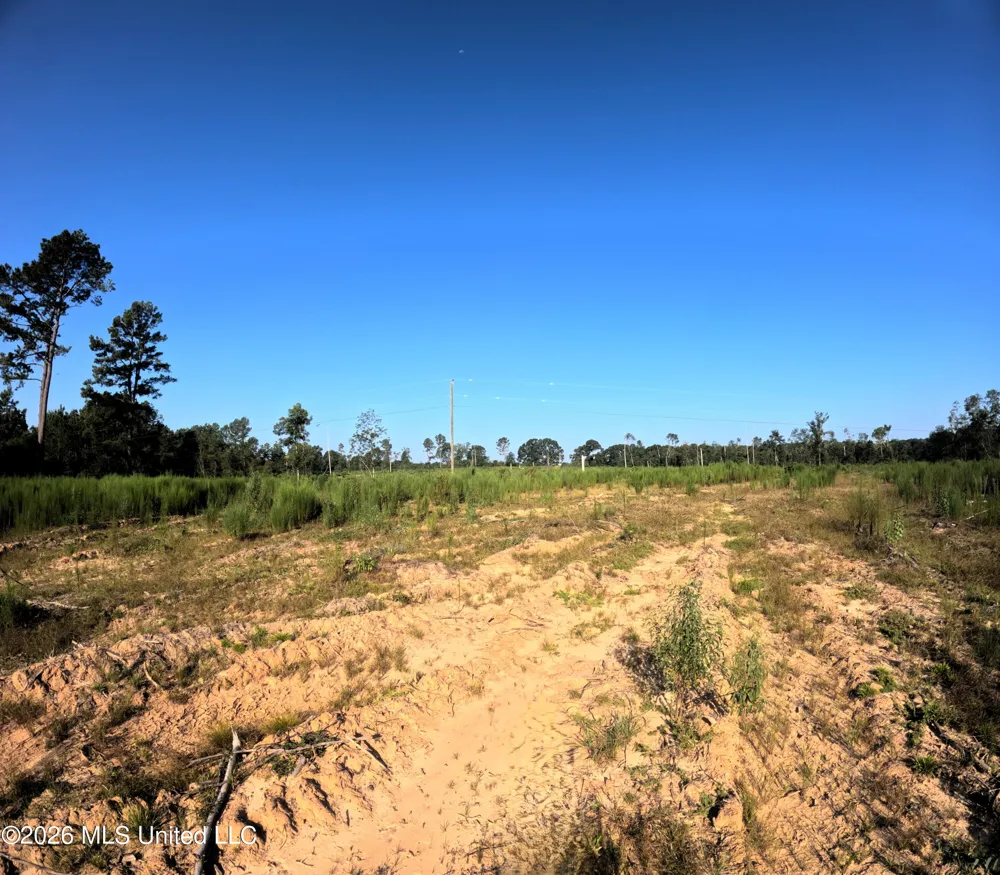 Ebenezer Road Columbia, MS 39429