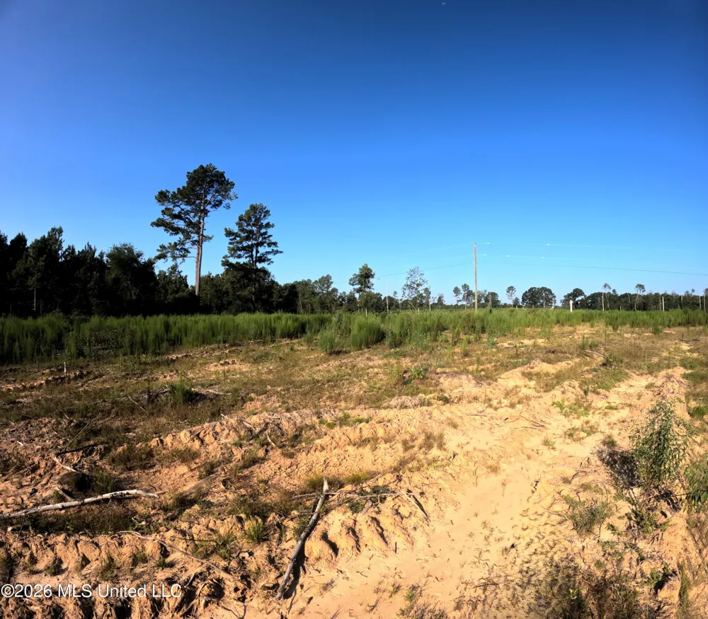 Ebenezer Road Columbia, MS 39429