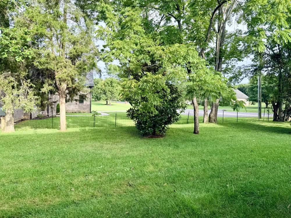 461 Golden Meadow Ln Hendersonville, TN 37075