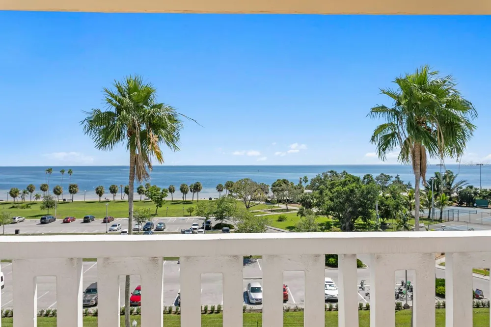 1200 SHORE DRIVE NE #316 St Petersburg, FL 33701