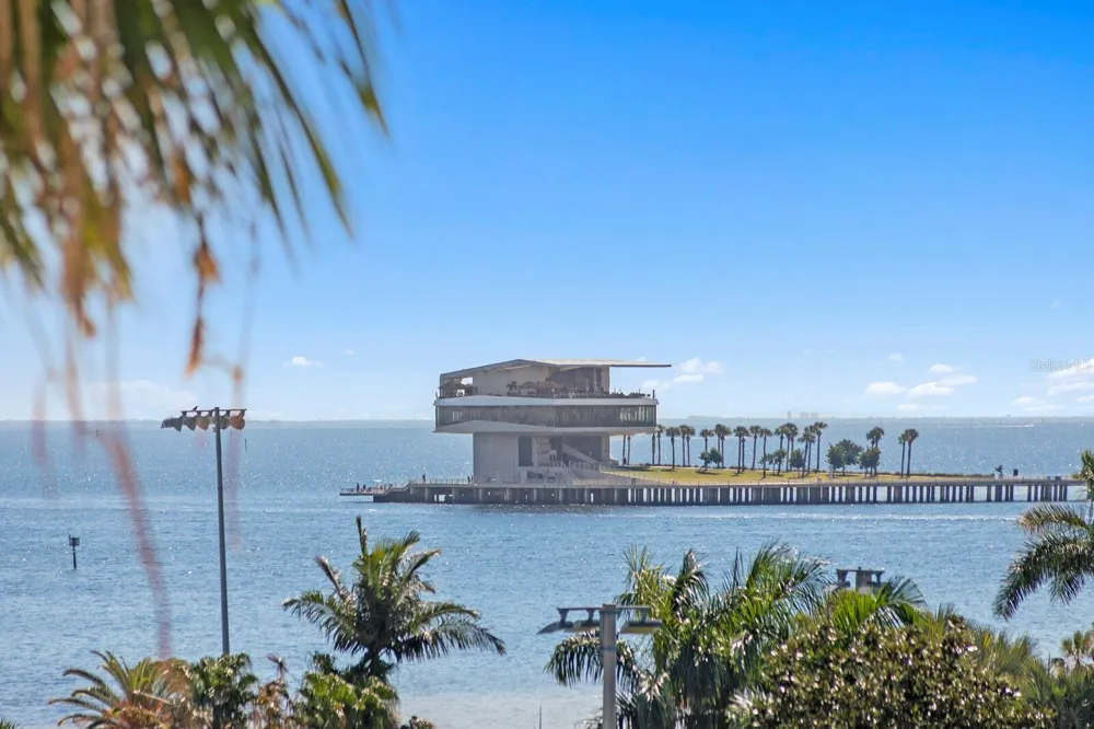 1200 SHORE DRIVE NE #316 St Petersburg, FL 33701