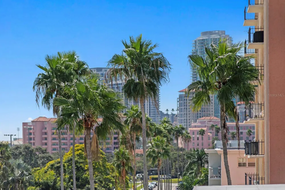 1200 SHORE DRIVE NE #316 St Petersburg, FL 33701