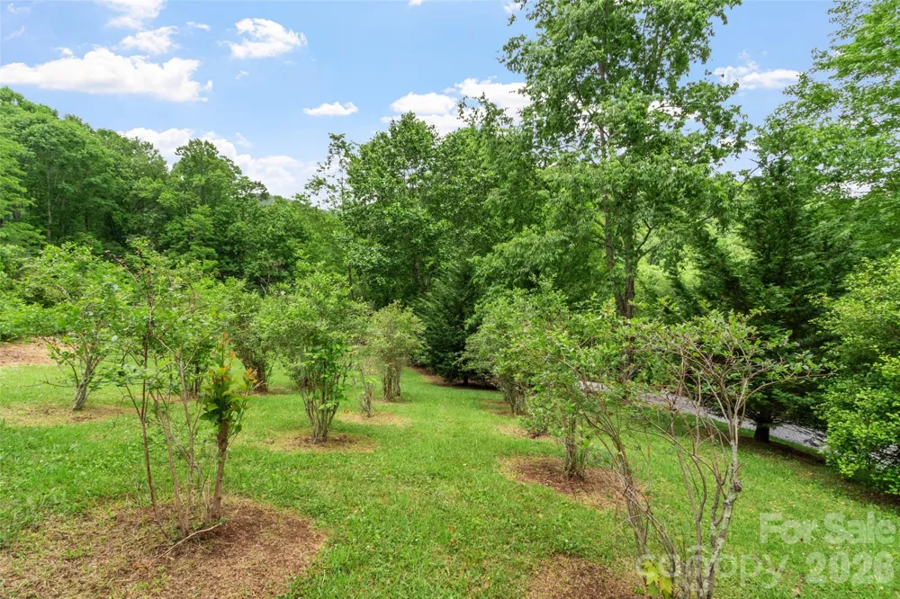 11820 State Highway 197 S Burnsville, NC 28714