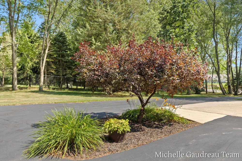 6244 Black Creek Drive Middleville, MI 49333