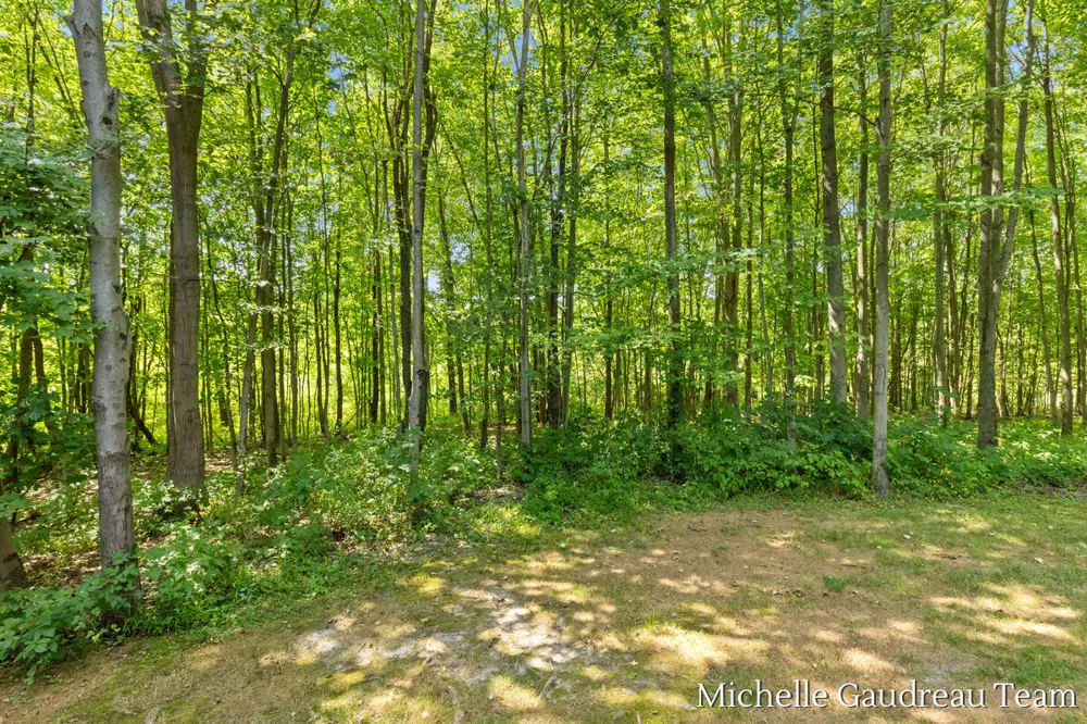 6244 Black Creek Drive Middleville, MI 49333