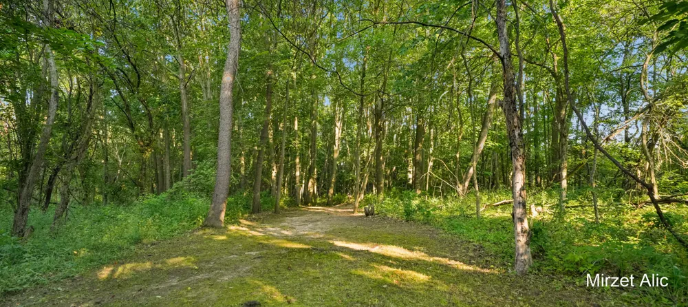 5220 Canyon River Drive NE Ada, MI 49301