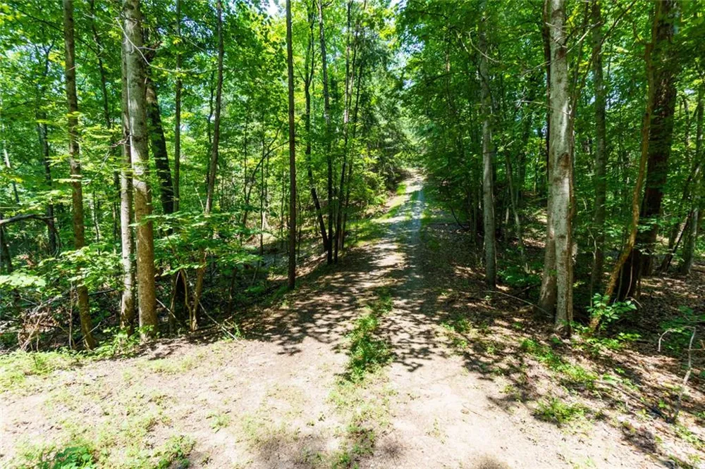 1145 Embry Court Ranger, GA 30734