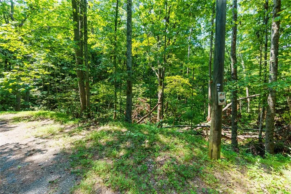 1145 Embry Court Ranger, GA 30734