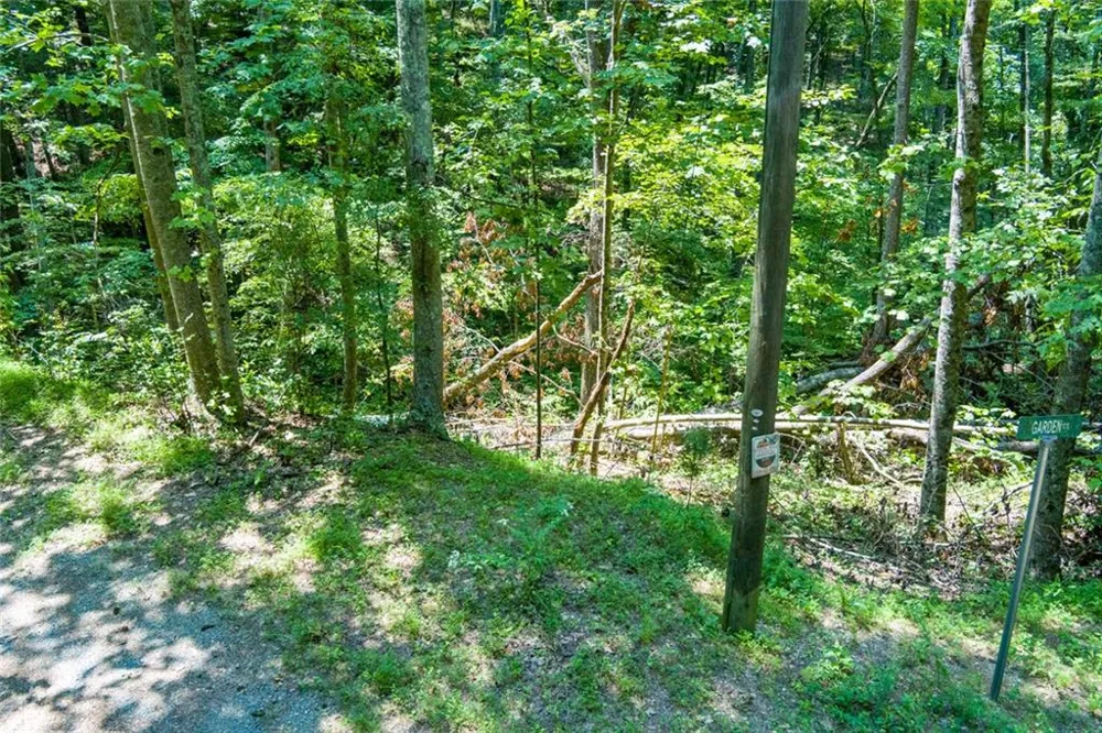 1145 Embry Court Ranger, GA 30734