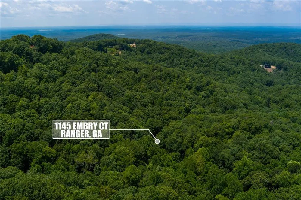 1145 Embry Court Ranger, GA 30734