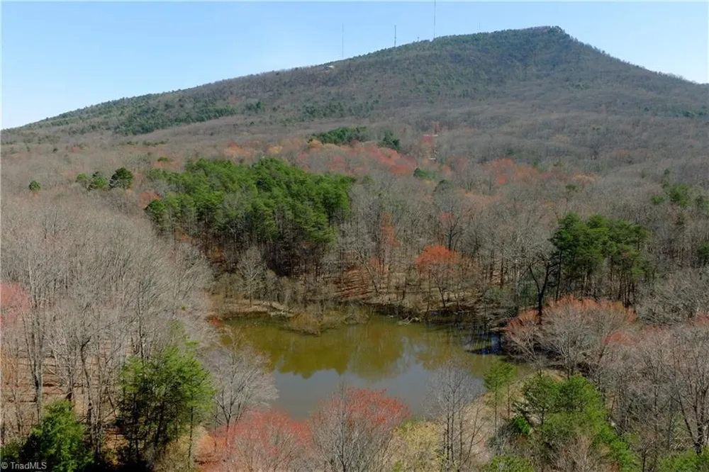 5 Old Mill Road Pinnacle, NC 27043