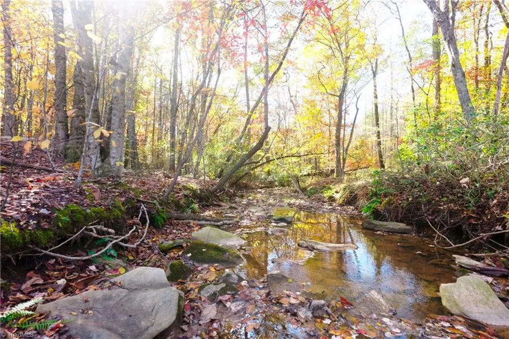 5 Old Mill Road Pinnacle, NC 27043