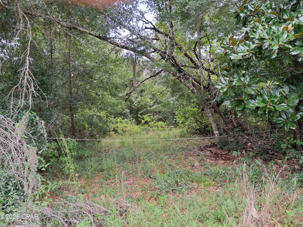 Rooks Drive Marianna, FL 32446