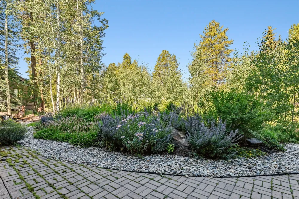 31 Wild Irishman Lane Keystone, CO 80435