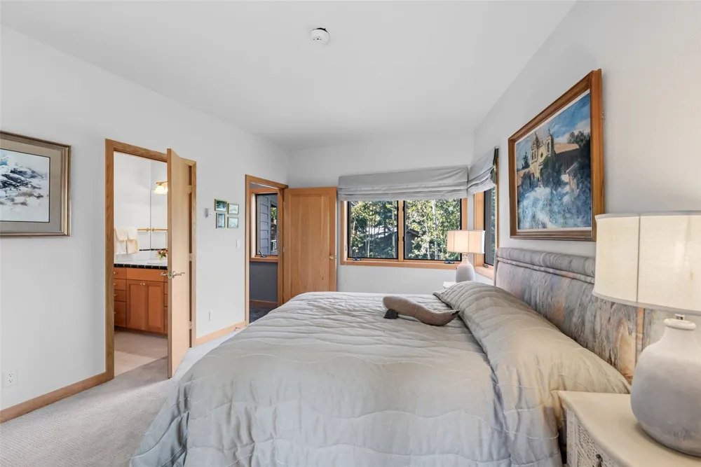 31 Wild Irishman Lane Keystone, CO 80435