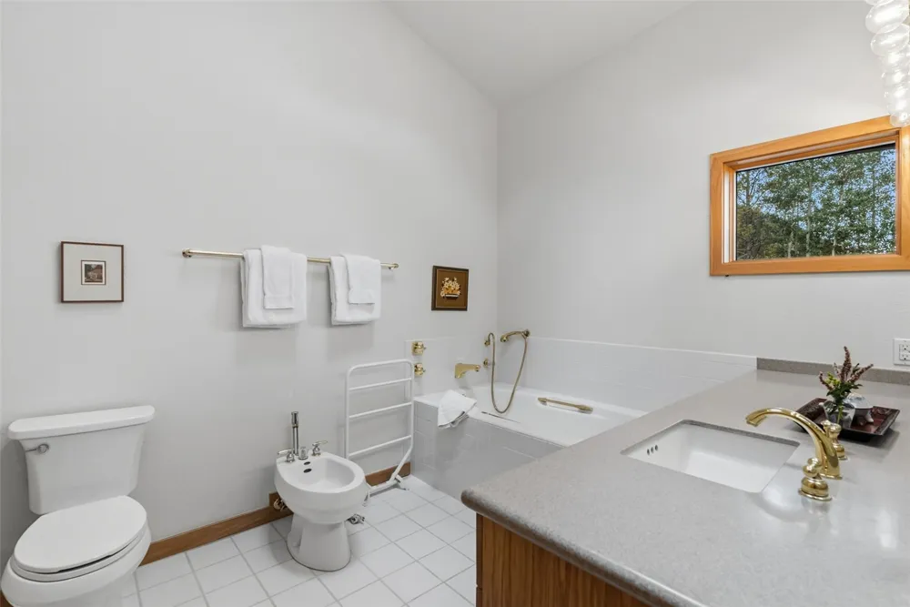 31 Wild Irishman Lane Keystone, CO 80435