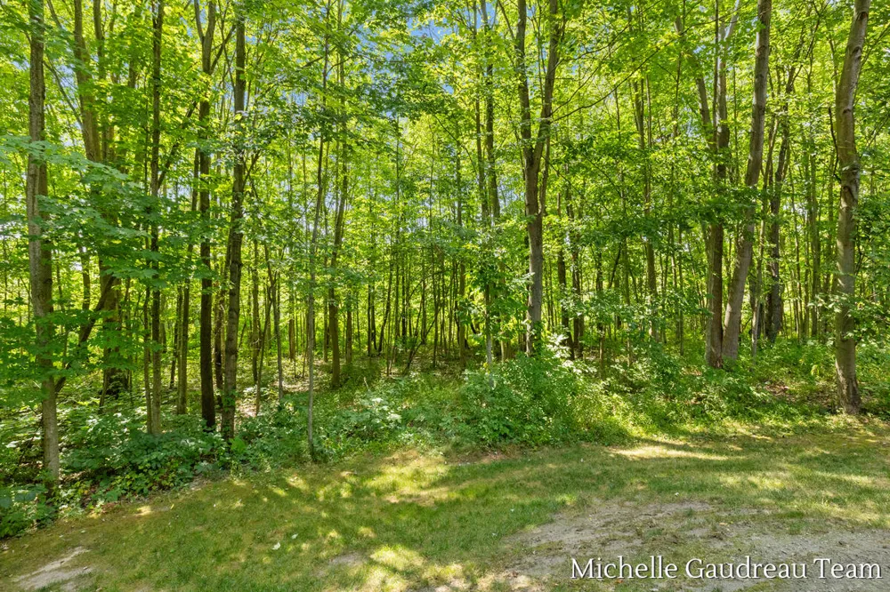 6244 Black Creek Drive Irving Township, MI 49333
