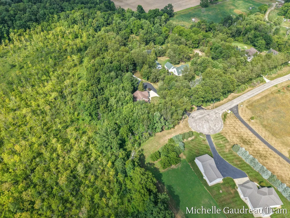 6244 Black Creek Drive Irving Township, MI 49333