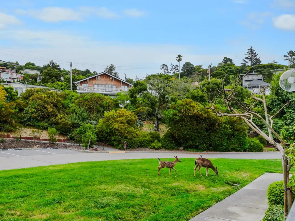 34 Lagoon Vista Tiburon, CA 94920