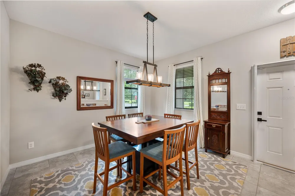 17616 TERRAZZO WAY Land O Lakes, FL 34638