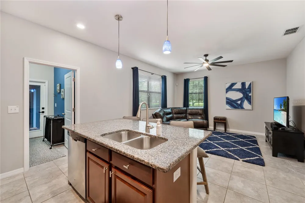 17616 TERRAZZO WAY Land O Lakes, FL 34638